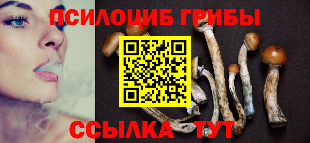 Псилоцибиновые грибы мухоморы  Вход с VPN  Зима 